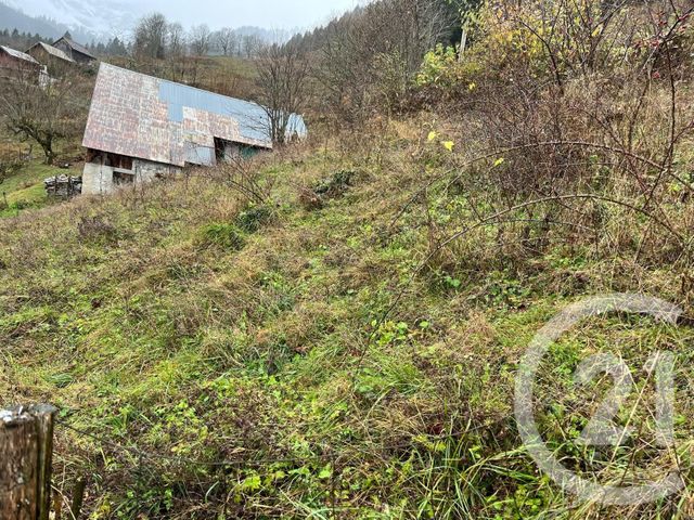 Terrain à vendre - 2007 m2 - Novel - 74 - RHONE-ALPES