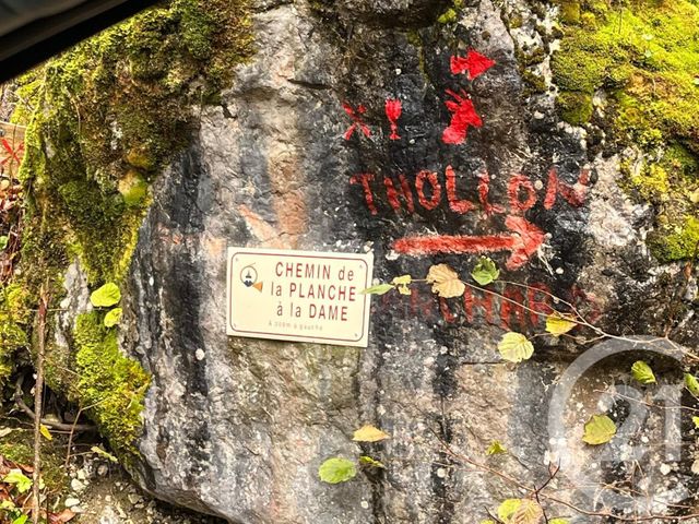 Terrain à vendre - 2007 m2 - Novel - 74 - RHONE-ALPES