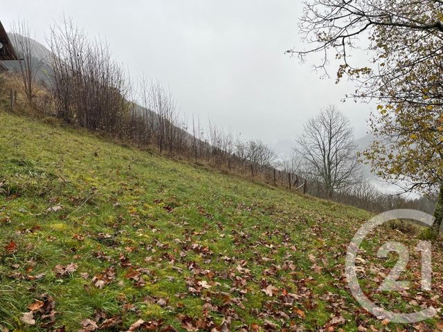 Terrain à vendre - 2007 m2 - Novel - 74 - RHONE-ALPES