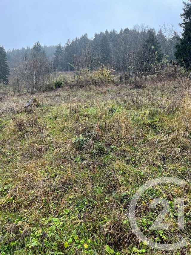 Terrain à vendre - 2007 m2 - Novel - 74 - RHONE-ALPES