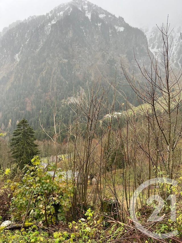 Terrain à vendre - 2007 m2 - Novel - 74 - RHONE-ALPES