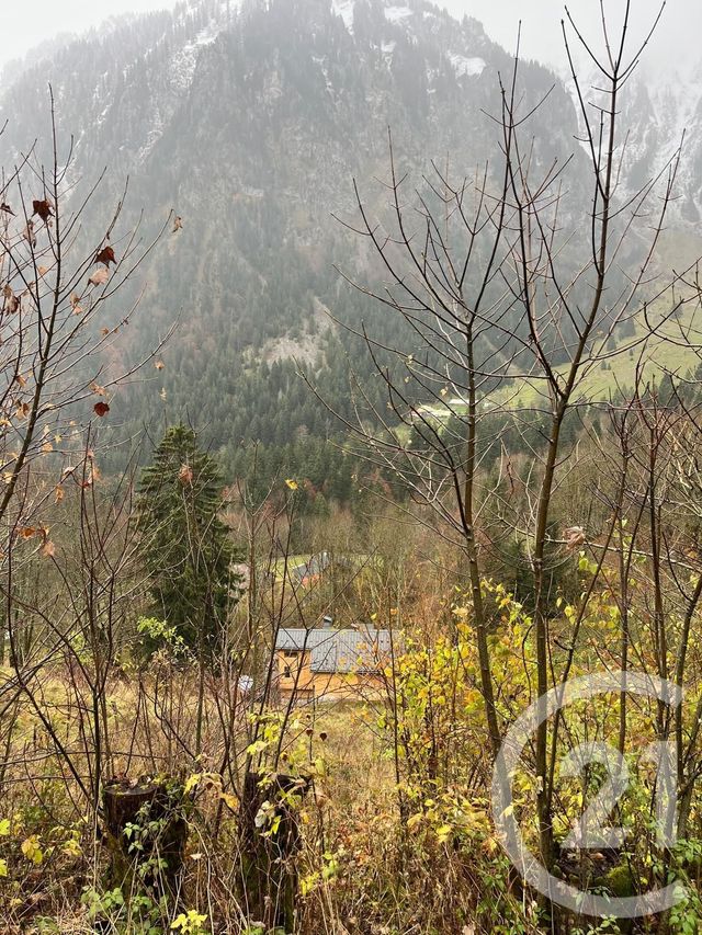 Terrain à vendre - 2007 m2 - Novel - 74 - RHONE-ALPES