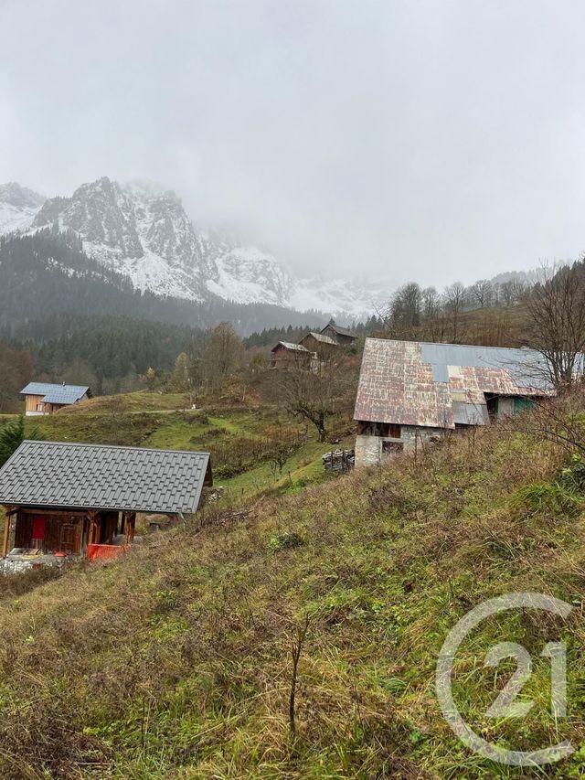 Terrain à vendre - 2007 m2 - Novel - 74 - RHONE-ALPES