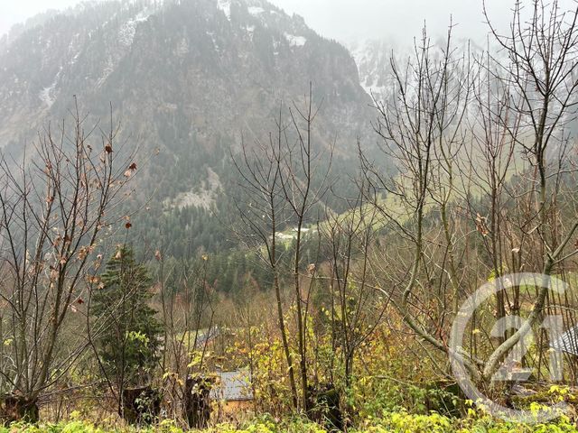 Terrain à vendre - 2007 m2 - Novel - 74 - RHONE-ALPES