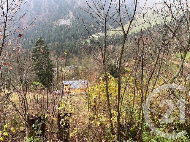 Terrain à vendre - 2007 m2 - Novel - 74 - RHONE-ALPES