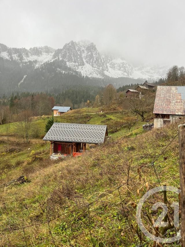 Terrain à vendre - 2007 m2 - Novel - 74 - RHONE-ALPES