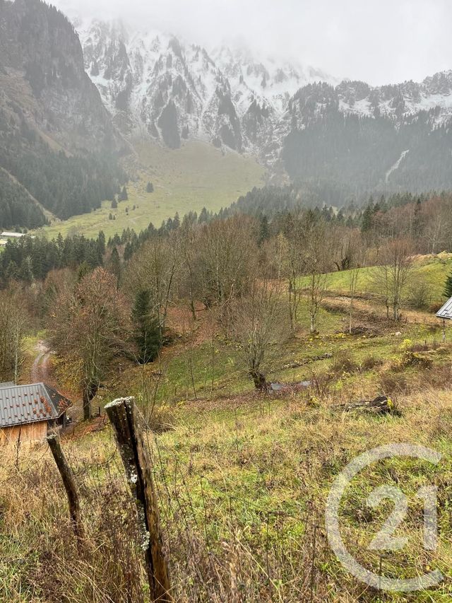 Terrain à vendre - 2007 m2 - Novel - 74 - RHONE-ALPES