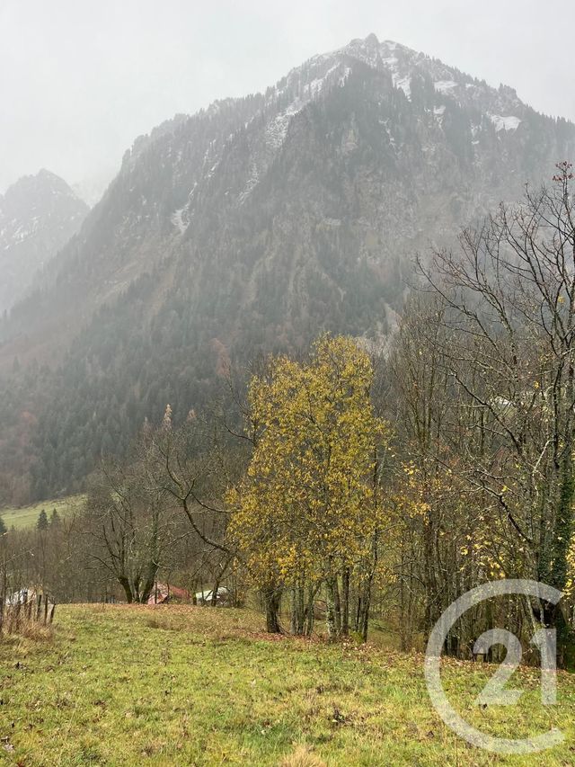 Terrain à vendre - 2007 m2 - Novel - 74 - RHONE-ALPES