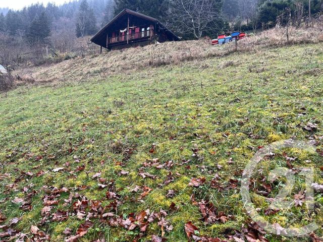 Terrain à vendre - 2007 m2 - Novel - 74 - RHONE-ALPES