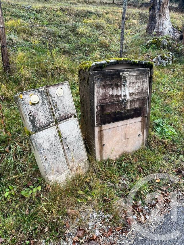 Terrain à vendre - 2007 m2 - Novel - 74 - RHONE-ALPES