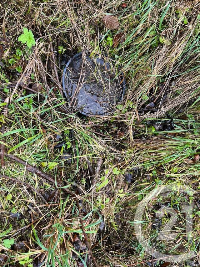 Terrain à vendre - 812 m2 - Novel - 74 - RHONE-ALPES