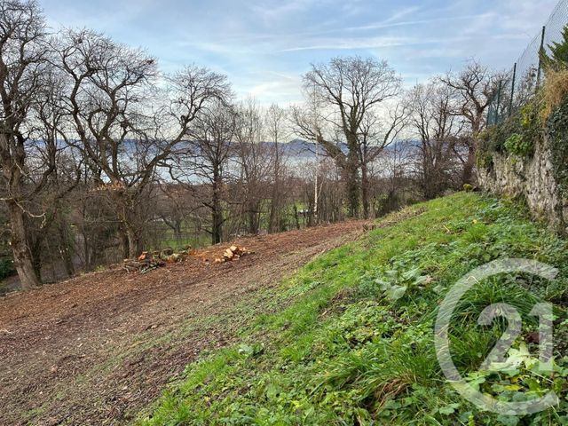 Terrain à vendre - 1458 m2 - Maxilly Sur Leman - 74 - RHONE-ALPES