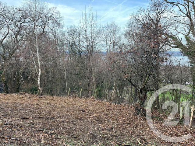 Terrain à vendre - 1458 m2 - Maxilly Sur Leman - 74 - RHONE-ALPES