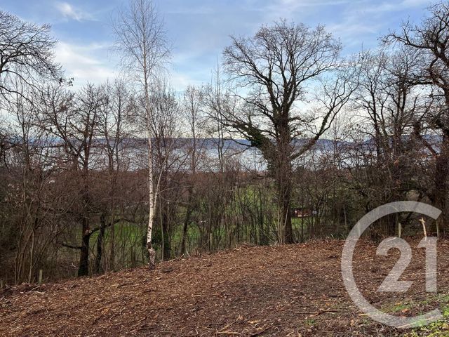 Terrain à vendre - 1458 m2 - Maxilly Sur Leman - 74 - RHONE-ALPES