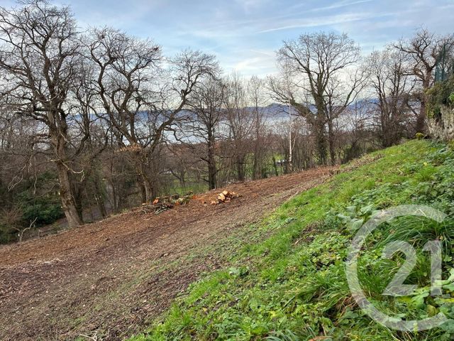 Terrain à vendre - 1458 m2 - Maxilly Sur Leman - 74 - RHONE-ALPES