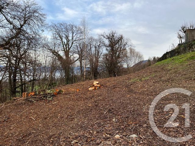 Terrain à vendre - 1458 m2 - Maxilly Sur Leman - 74 - RHONE-ALPES