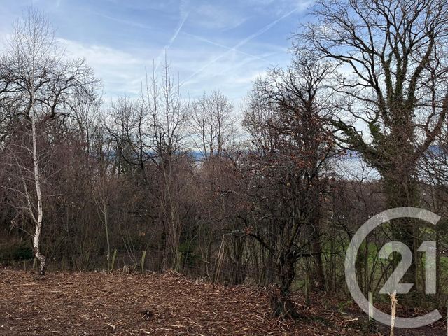 Terrain à vendre - 1458 m2 - Maxilly Sur Leman - 74 - RHONE-ALPES