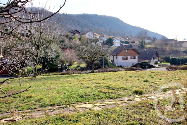 Terrain à vendre - 409 m2 - Allinges - 74 - RHONE-ALPES