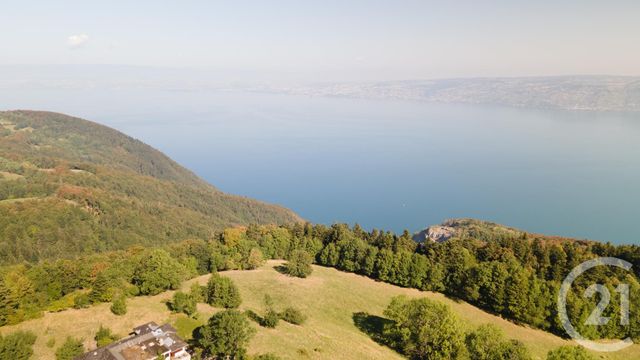 Terrain à vendre - 1124 m2 - Thollon Les Memises - 74 - RHONE-ALPES