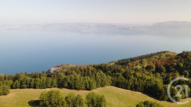 Terrain à vendre - 1124 m2 - Thollon Les Memises - 74 - RHONE-ALPES