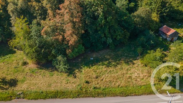 Terrain à vendre - 1124 m2 - Thollon Les Memises - 74 - RHONE-ALPES