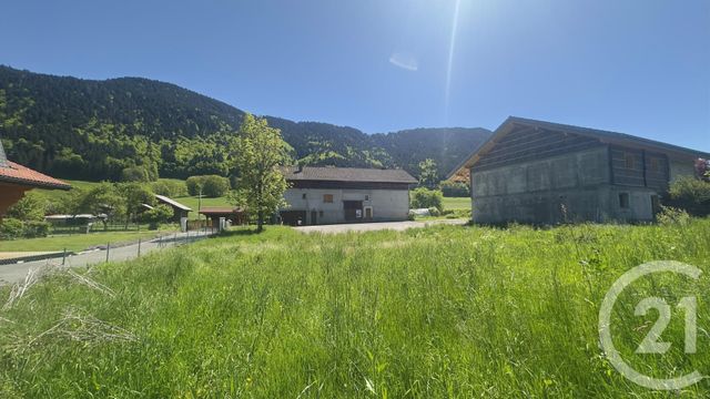 terrain - BERNEX - 74