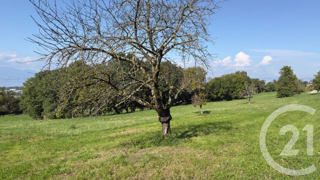 Appartement F2 à vendre - 2 pièces - 43,23 m2 - Marin - 74 - RHONE-ALPES