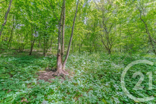 Maison &agrave; vendre - 4 pi&egrave;ces - 196,54 m2 - St Paul En Chablais - 74 - RHONE-ALPES