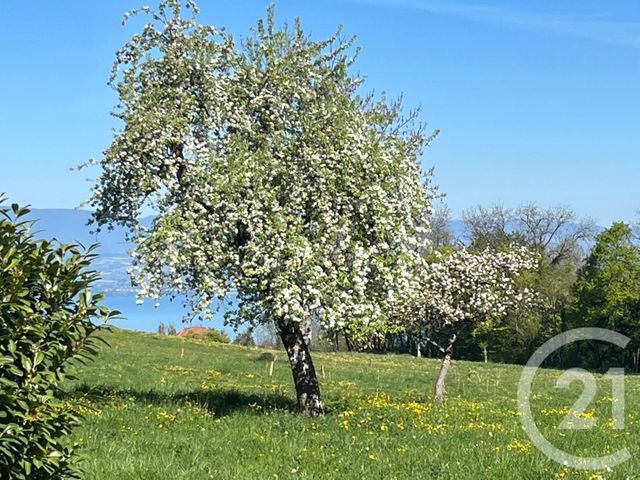 Maison &agrave; vendre - 13 pi&egrave;ces - 240 m2 - Larringes - 74 - RHONE-ALPES